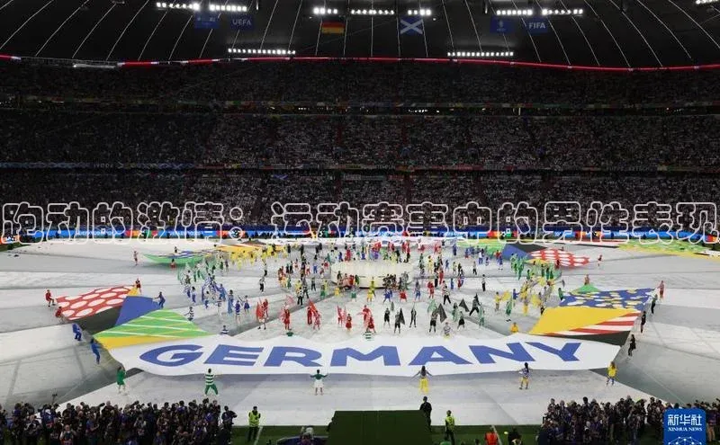 非凡体育官网入口