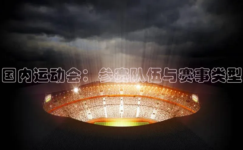 国内运动会：参赛队伍与赛事类型