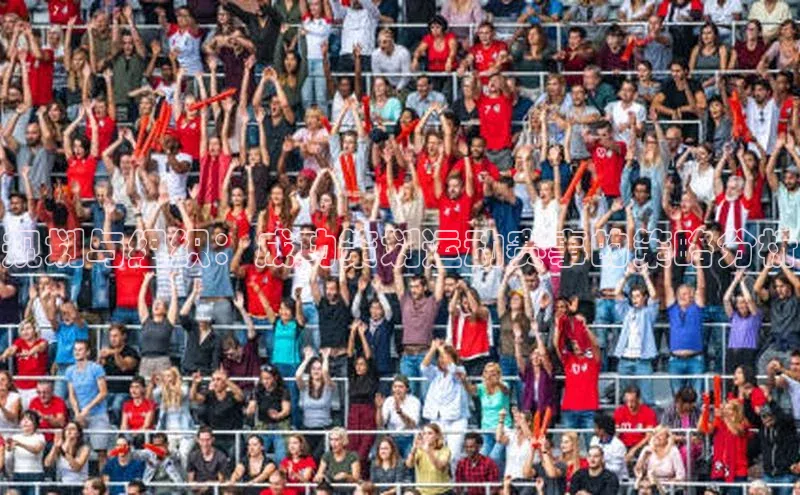 规划与组织：成功策划运动赛事的策略分析