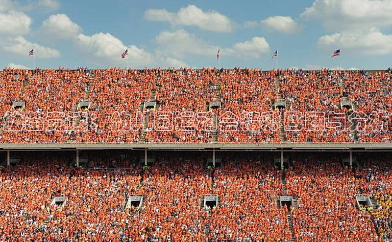 幼苗竞速：幼儿园运动会精彩回顾与分析