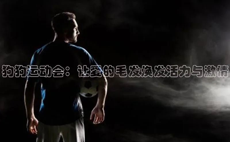 狗狗运动会：让爱的毛发焕发活力与激情