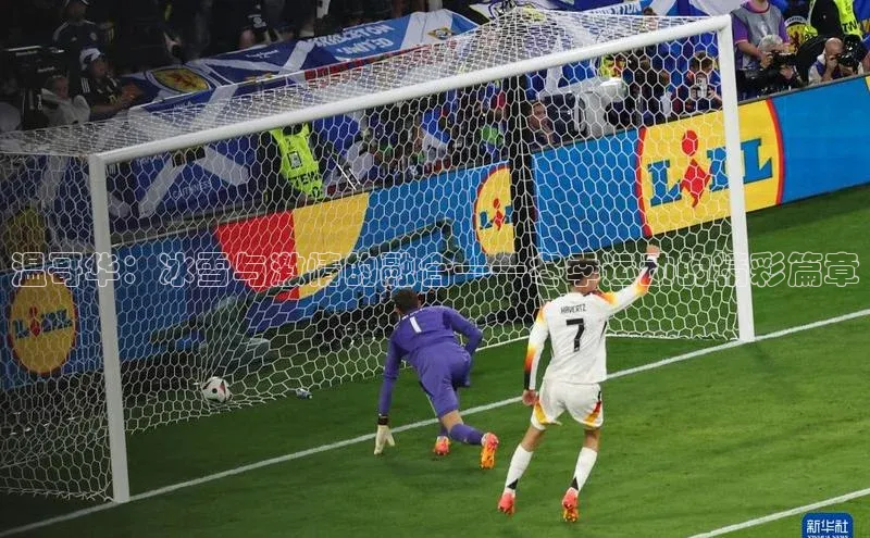 温哥华：冰雪与激情的融合——冬季运动的精彩篇章