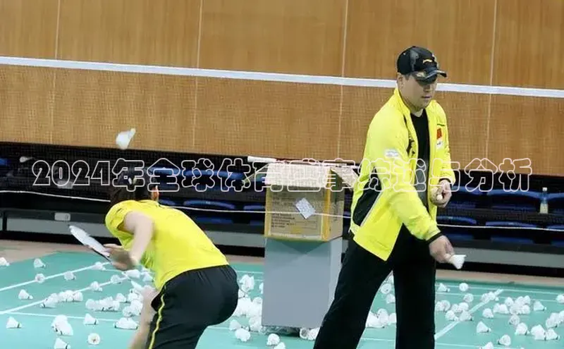 2024年全球体育盛事综述与分析