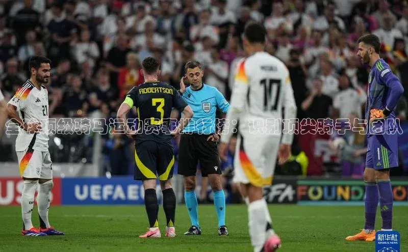 全球顶级骑马运动赛事排行榜：识别顶尖骑手与团队